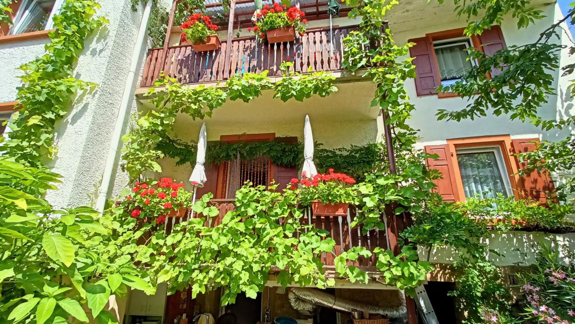 Urlaub Mit Charme In Der Kleinsten Stadt Der Pfalz. Obermoschel Exterior photo